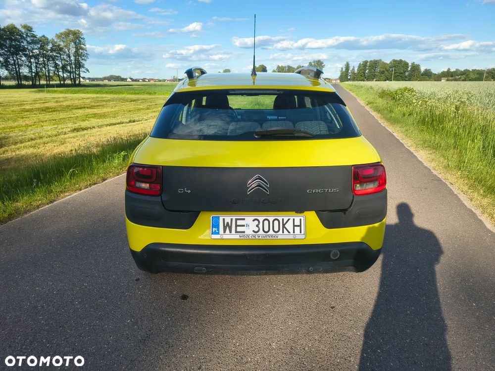 Citroën C4 Cactus 1.2 PureTech Shine Edition S&S ETG - 6