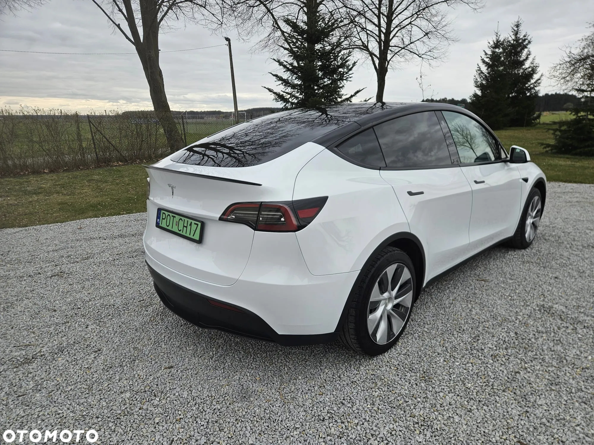 Tesla Y Model RWD - 11
