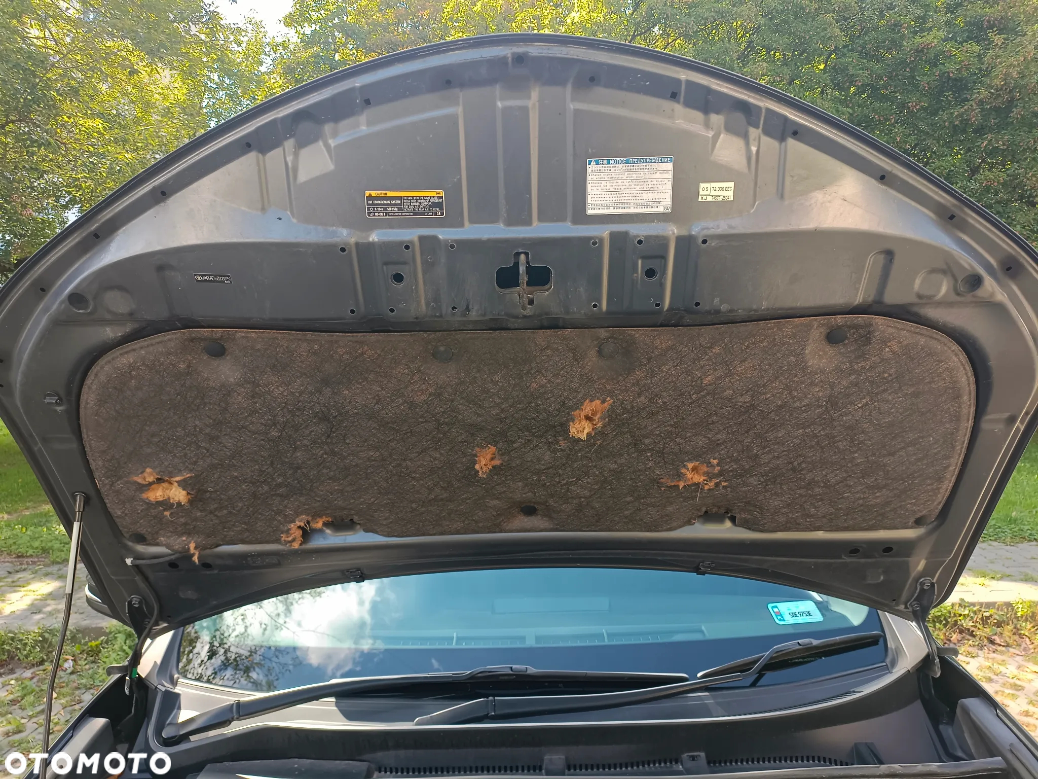 Toyota RAV4 - 26