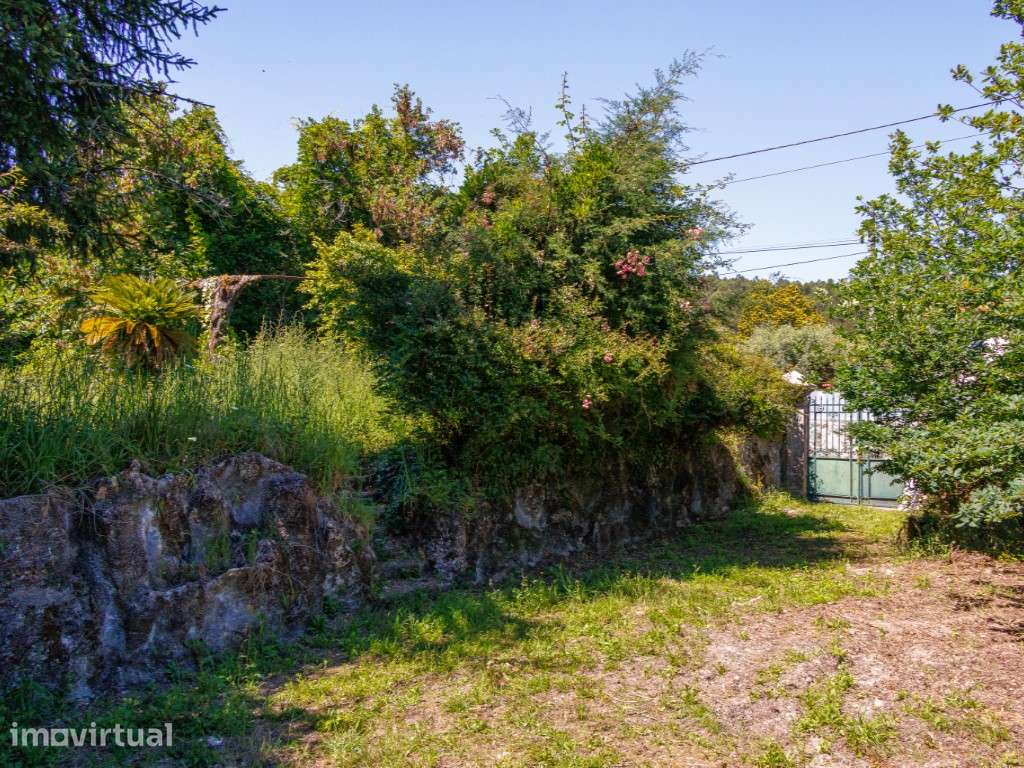 Quinta com moradia para reconstrução em Briteiros - Guimarães - Grande imagem: 4/35
