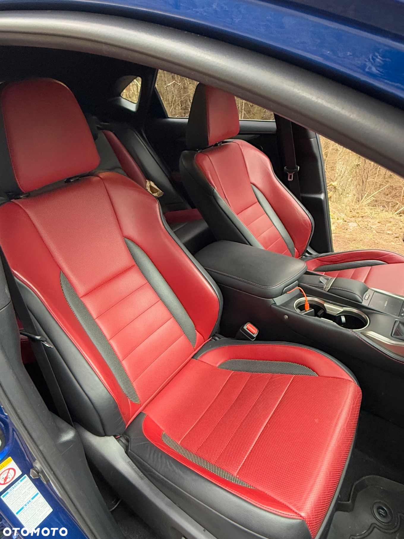 Lexus NX 300 F Sport AWD - 14