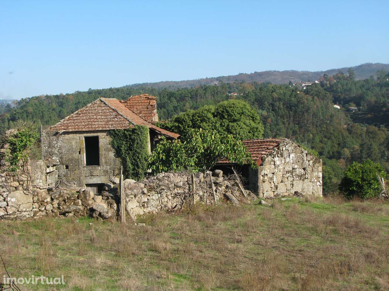 Quinta com casa em ruínas - Grande imagem: 2/16
