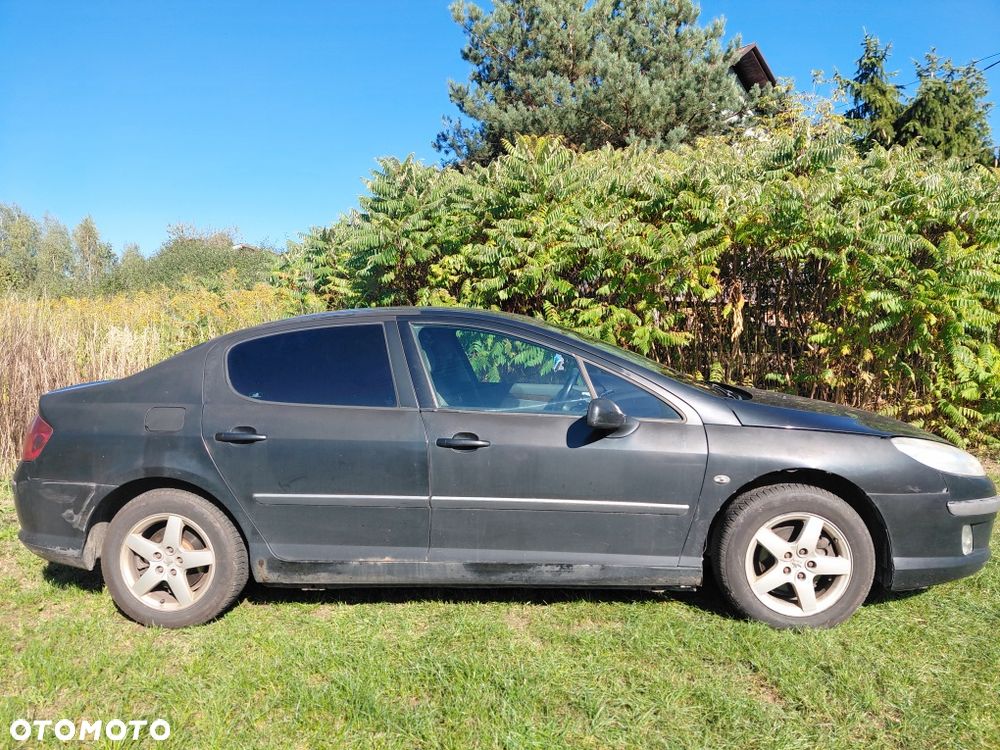 Peugeot 407 - 3