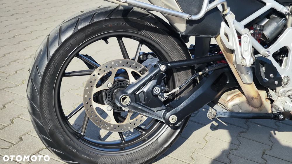 Triumph Tiger - 23