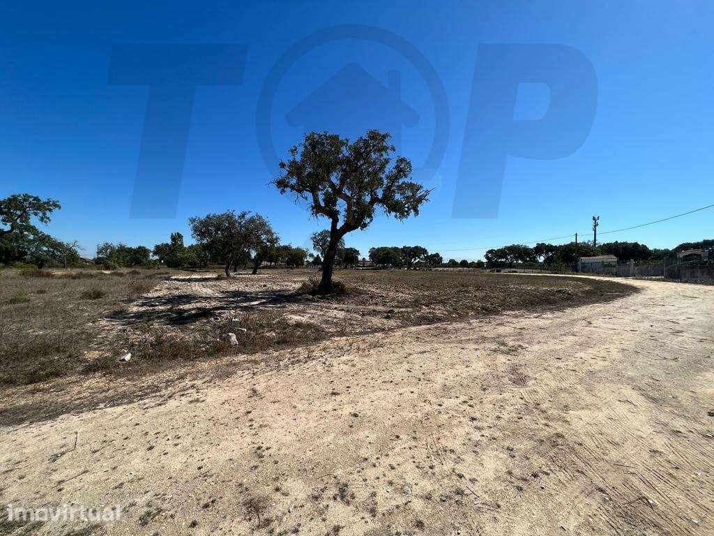 Terreno de Gaveto - Foros De Salvaterra - 55.000€ - Grande imagem: 5/7