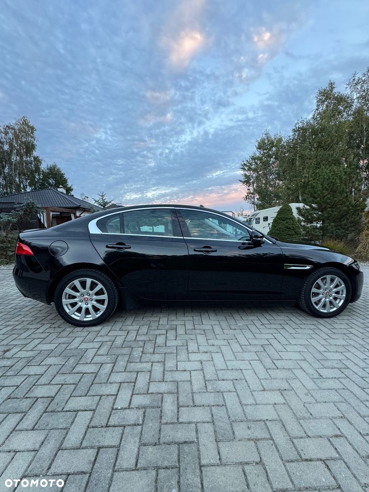 Jaguar XE - 7