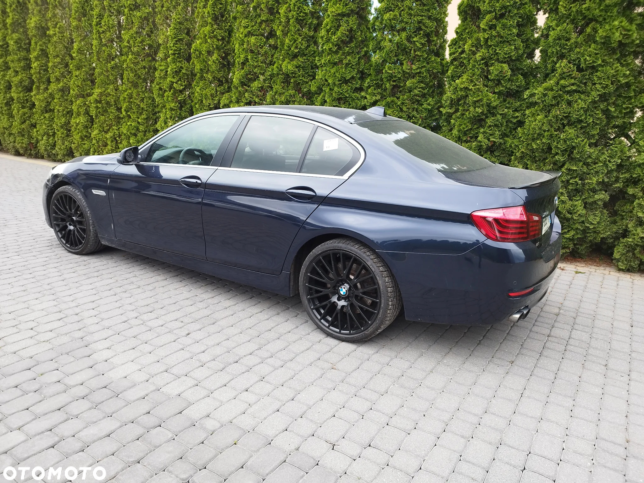 BMW Seria 5 530d xDrive Luxury Line - 2