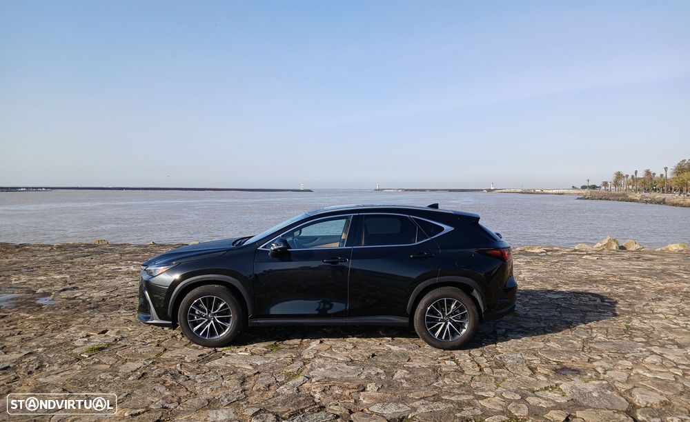 Lexus NX 450h+ - 4