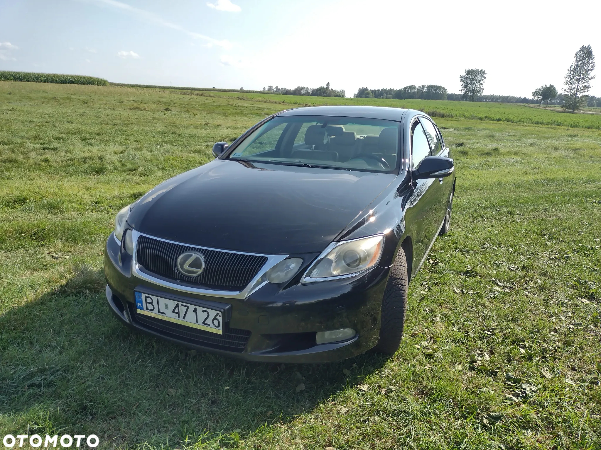 Lexus GS 300 Elegance + - 2
