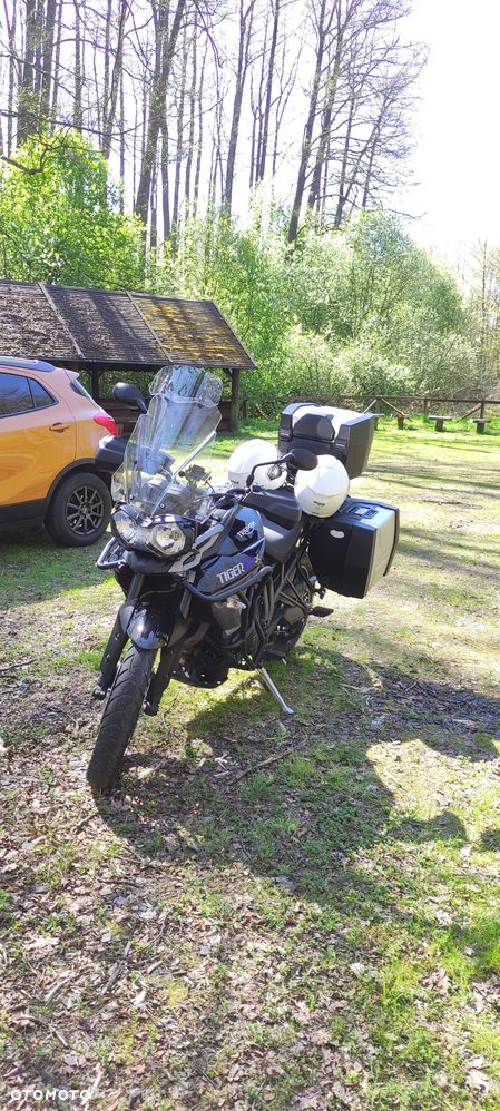 Triumph Tiger - 10