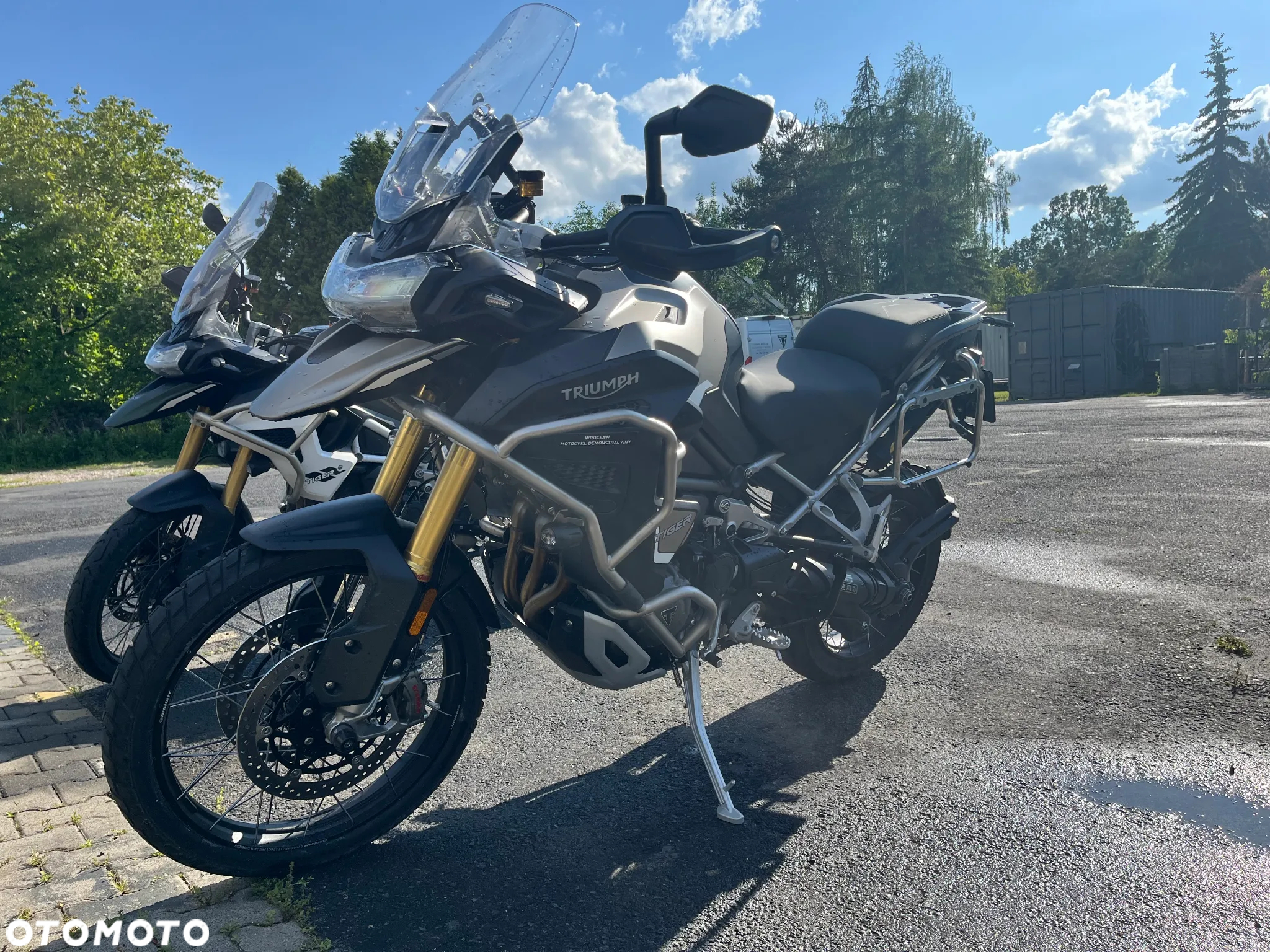 Triumph Tiger - 5
