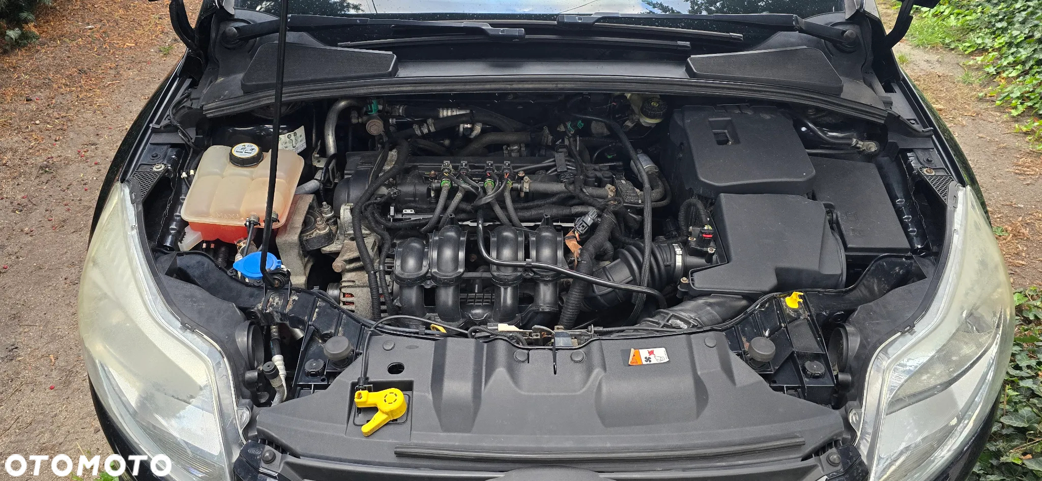 Ford Focus 1.6 Edition - 22