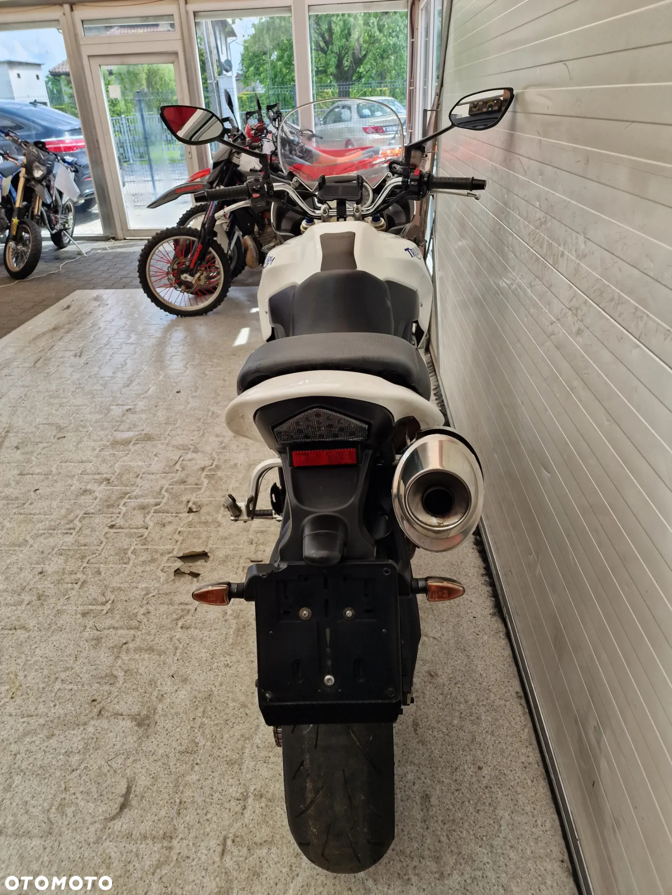 Triumph Tiger - 10