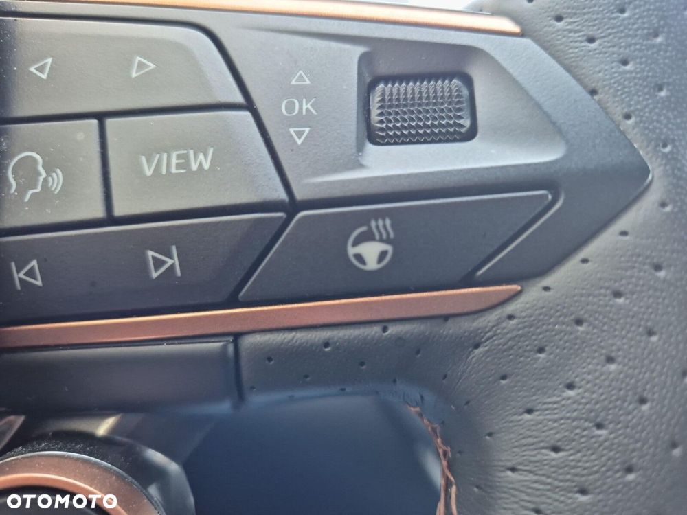 Cupra Terramar - 34