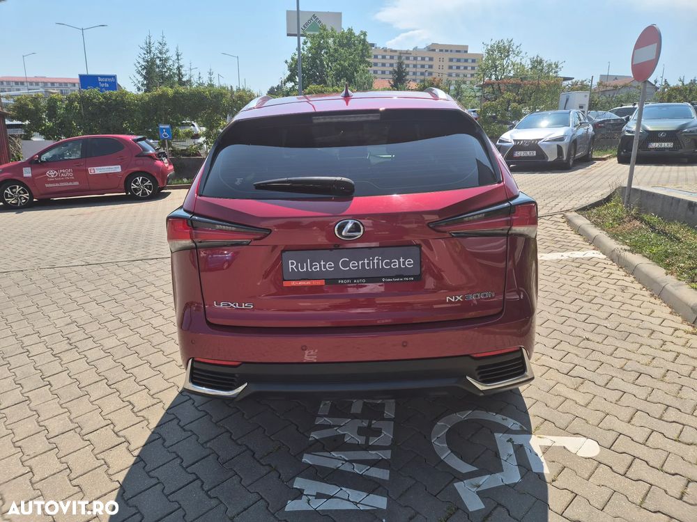 Lexus Seria NX 300h AWD Business Plus - 8
