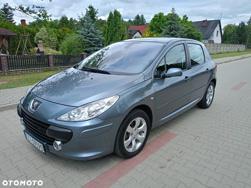 Peugeot 307 - 3