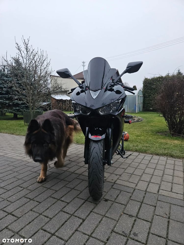 Yamaha R3 - 10