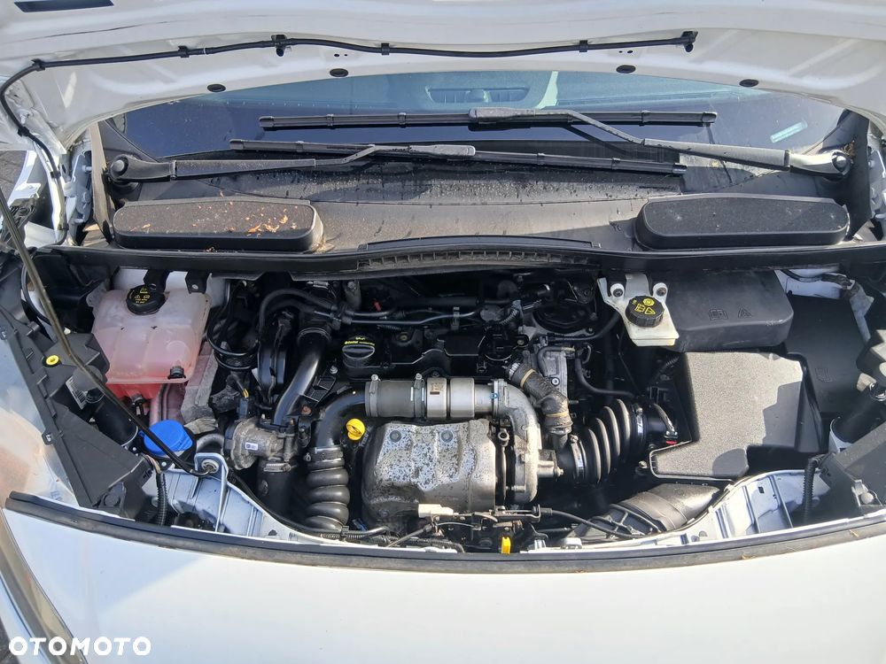 Ford TRANSIT CONNECT - 24