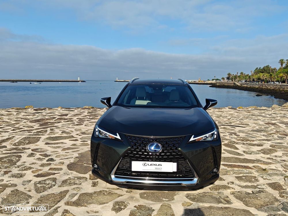 Lexus UX 250h Executive+ - 14