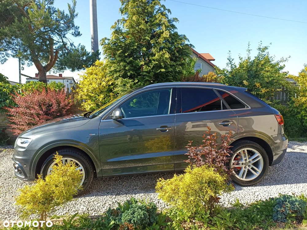 Audi Q3 - 17