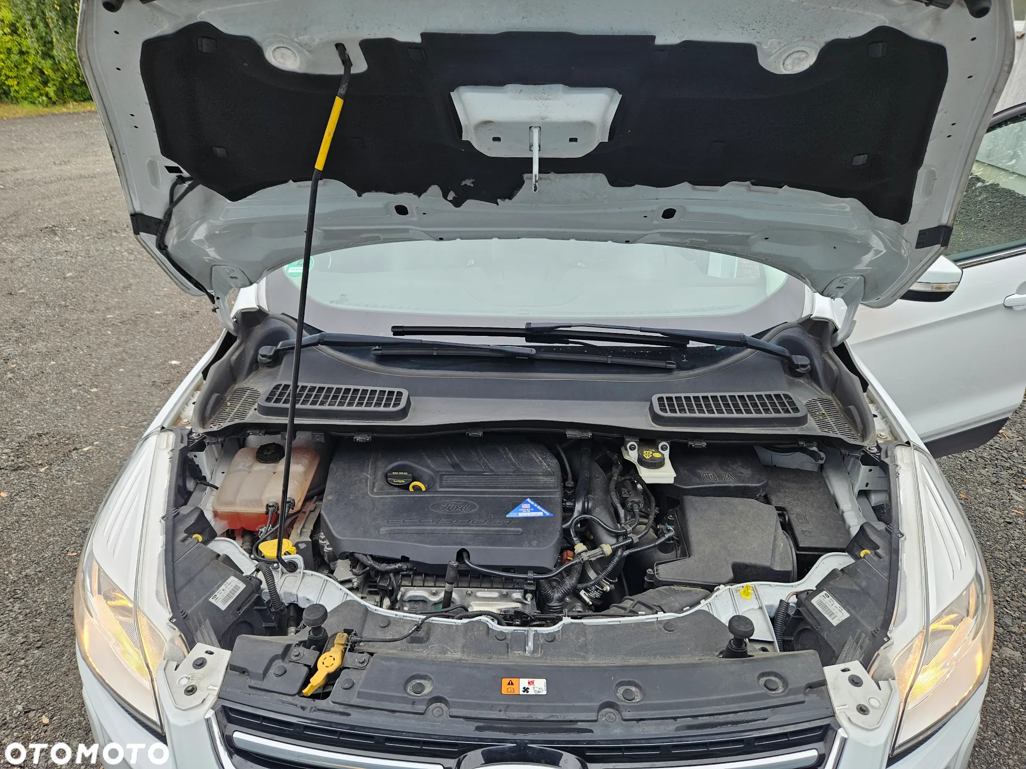 Ford Kuga 1.5 EcoBoost FWD Titanium ASS - 31