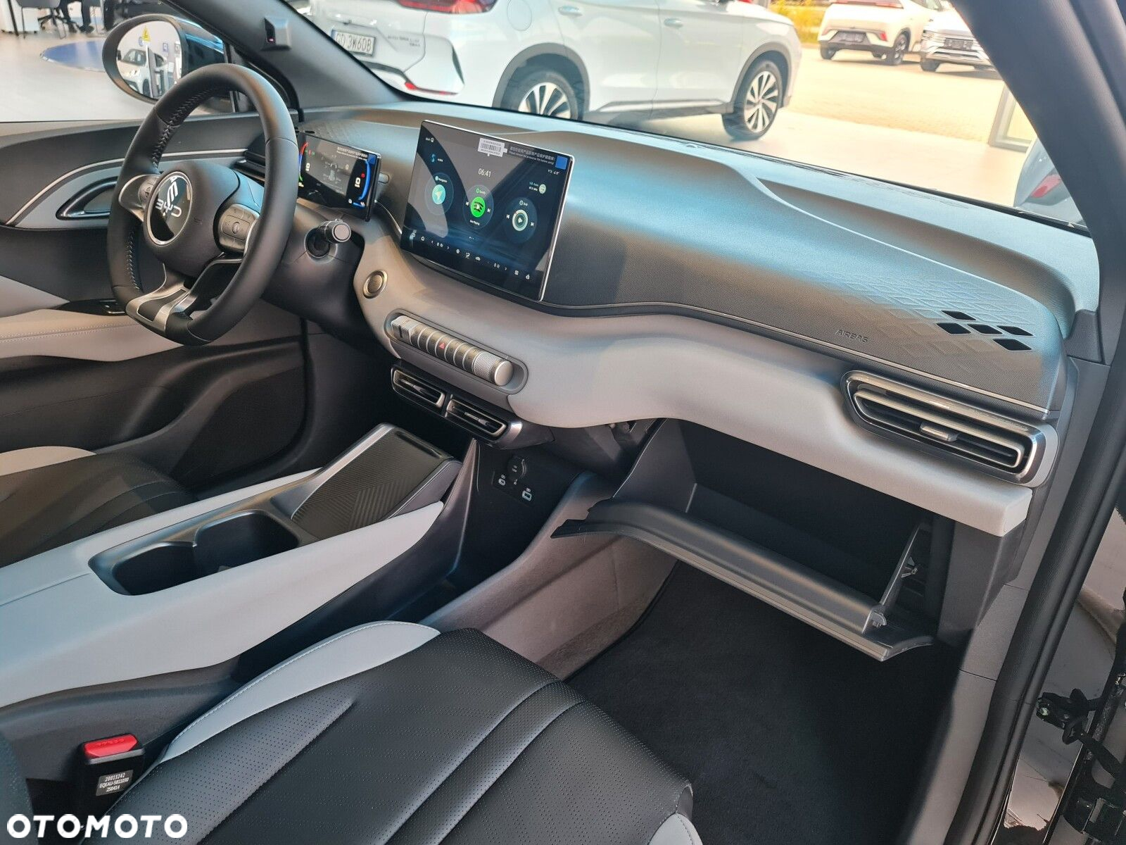 BYD Dolphin Surf - 19