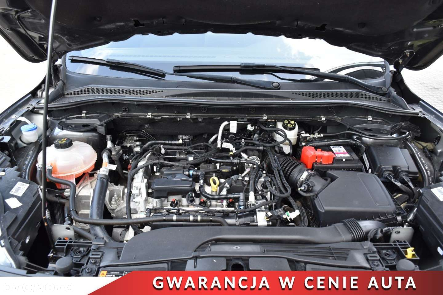 Ford Kuga 1.5 EcoBoost FWD ST-Line - 25