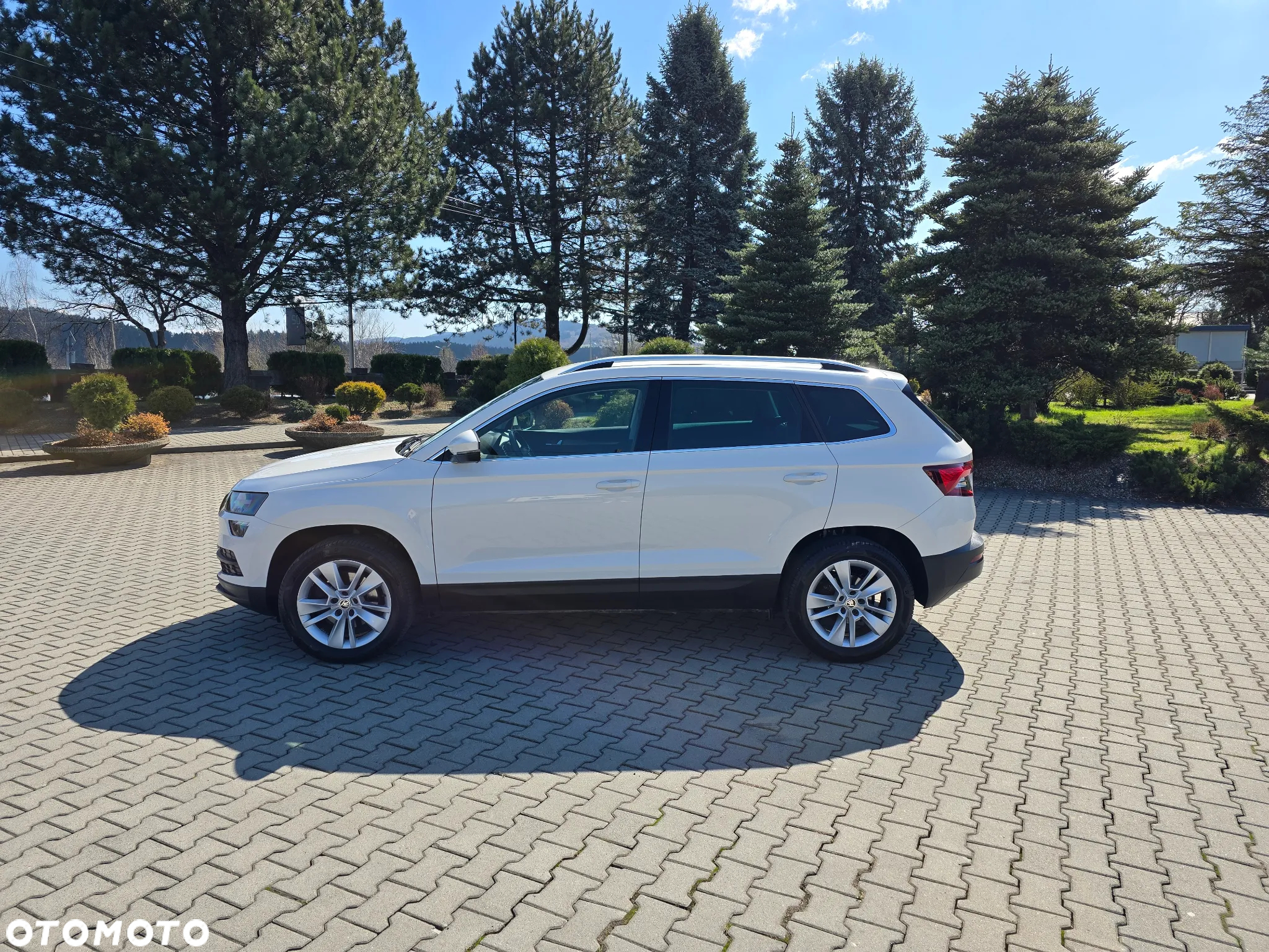 Skoda Karoq 2.0 TDI 4x4 DSG Sportline - 19