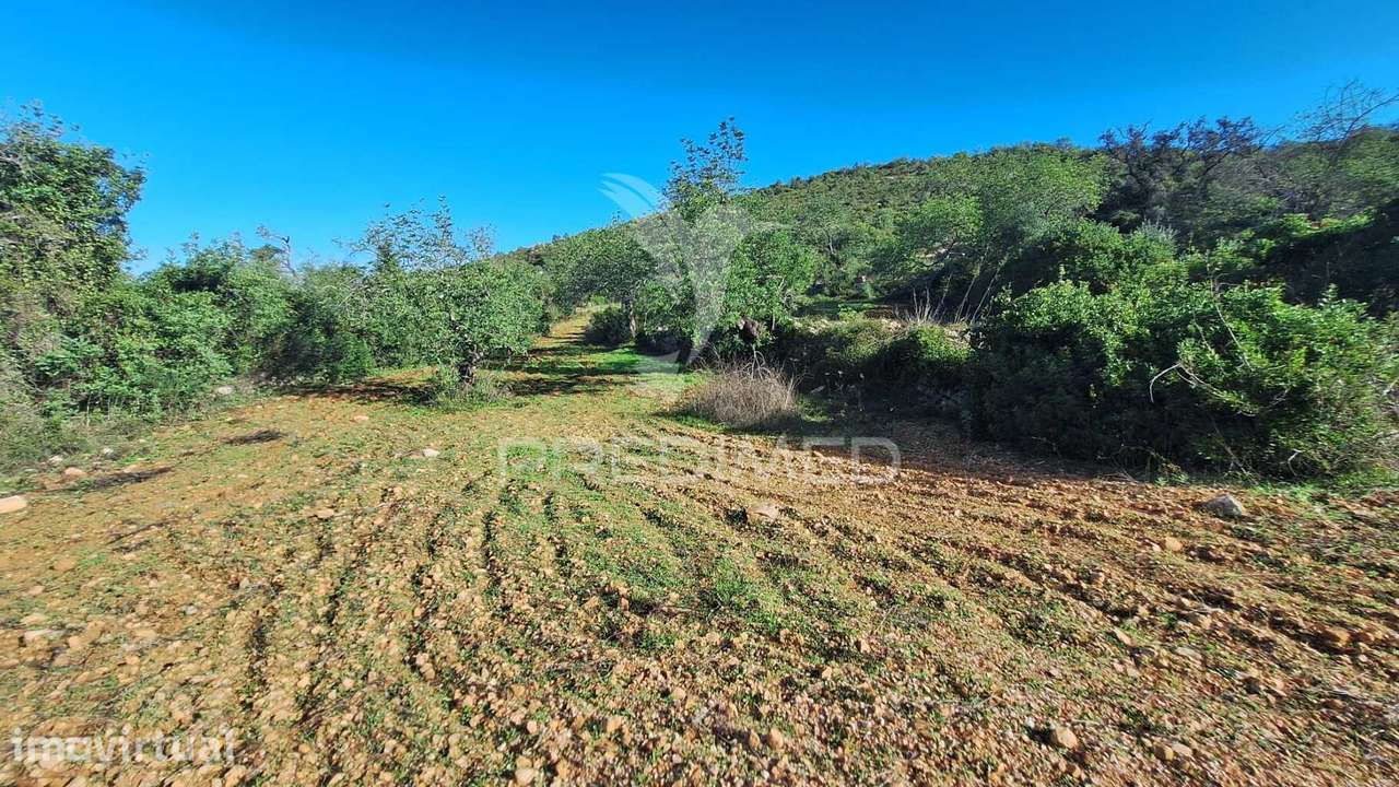 Terreno rustico em Loulé com acesso directo da estrada - Grande imagem: 4/10