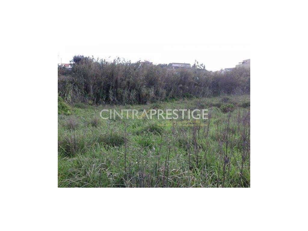 Terreno com 4560m2, localizado em Almargem do Bispo - Grande imagem: 2/11