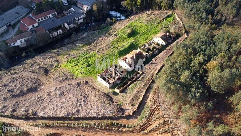 Quinta com 2 hectares para recuperar junto ao Rio Caima - Grande imagem: 3/12