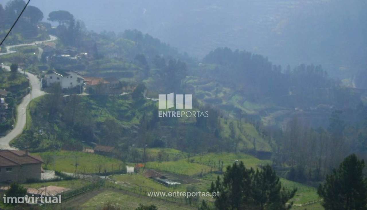 Venda Terreno, Santa Leocádia, Baião - Grande imagem: 2/7