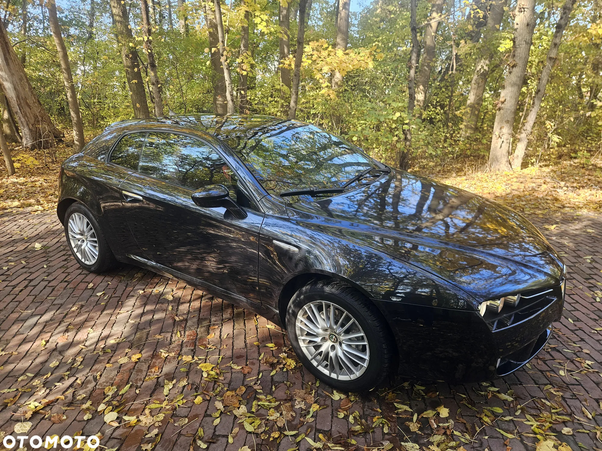 Alfa Romeo Brera 2.0JTDM - 11