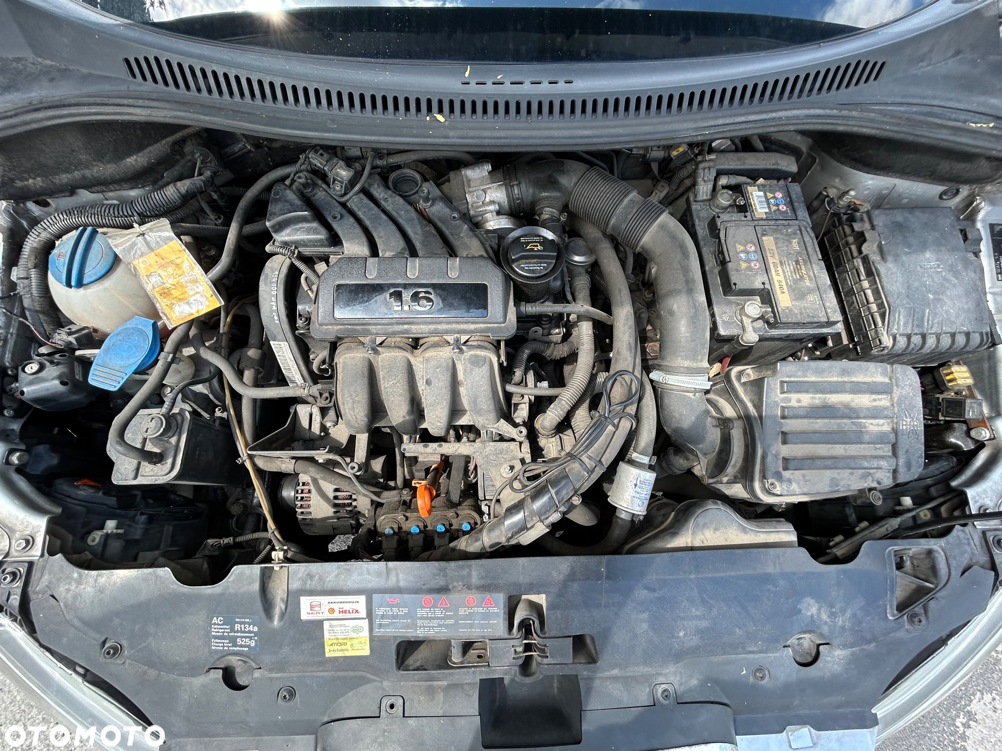 Seat Altea - 14