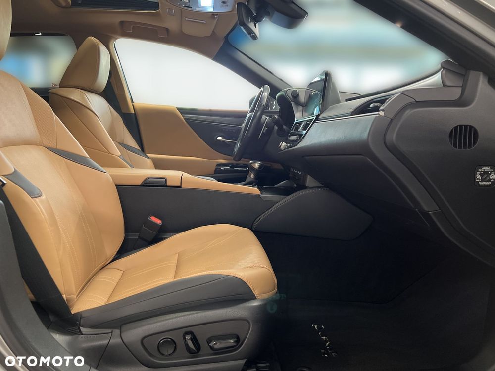 Lexus ES 300h Omotenashi - 11