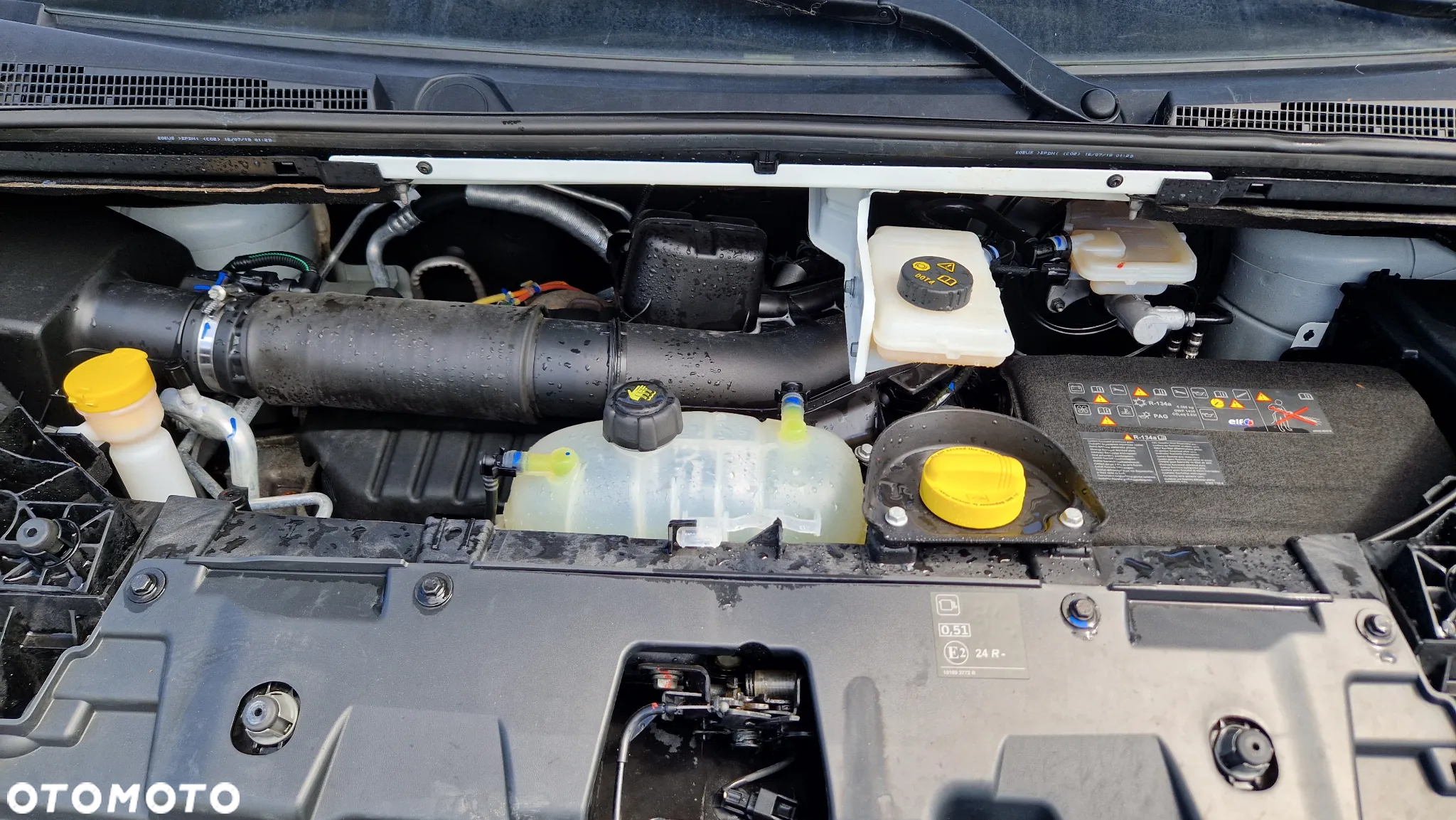 Renault Trafic - 23