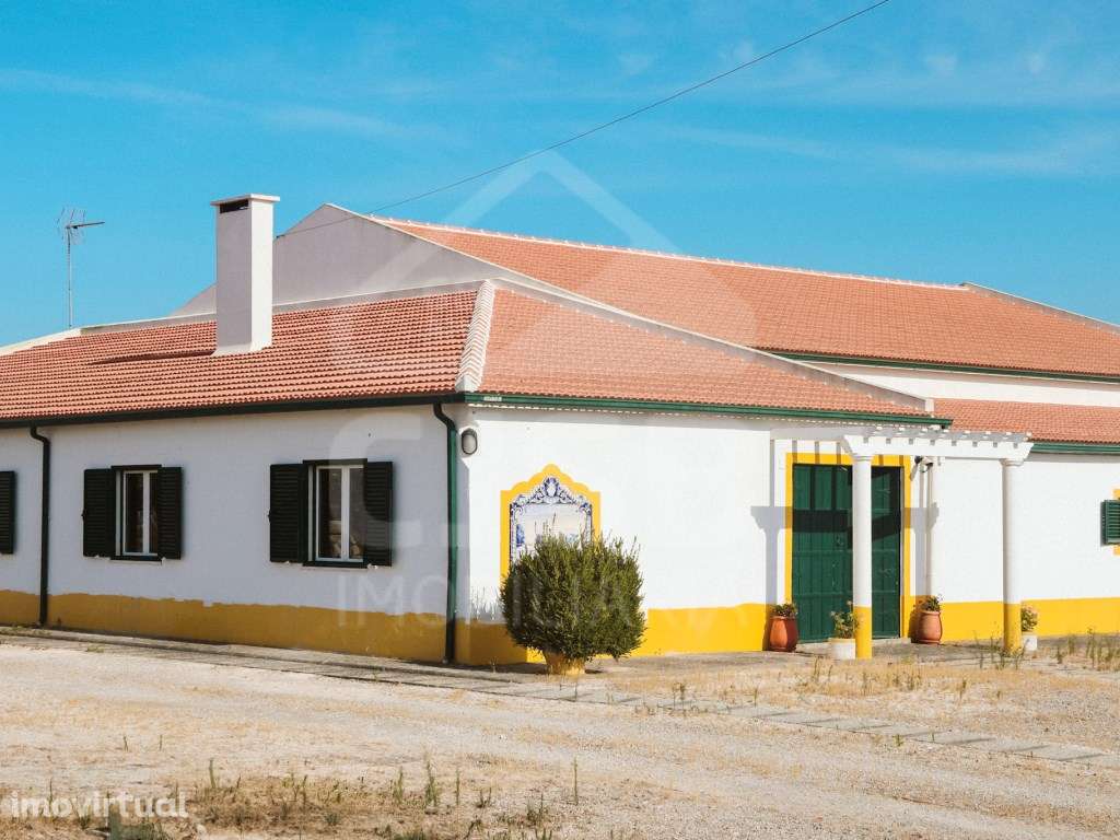 Quinta T5 na Branca - Grande imagem: 3/54