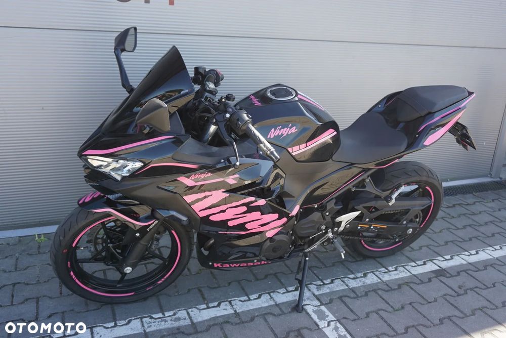 Kawasaki Ninja - 14