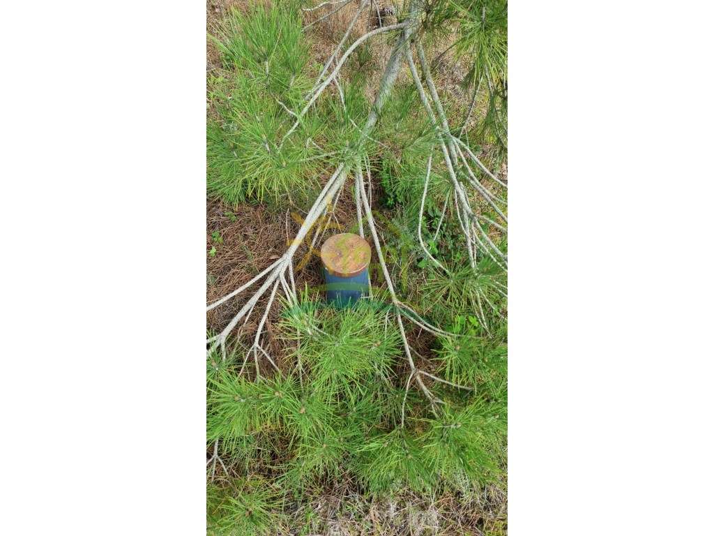 Terreno na Herdade Zambujeiro em Santo Estevão - Grande imagem: 3/12