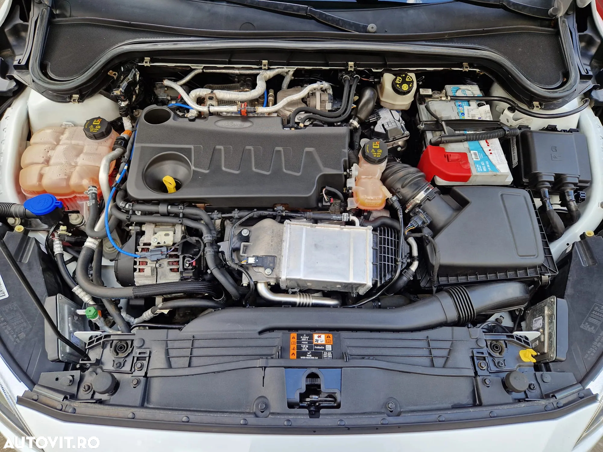 Ford Focus 2.0 EcoBlue Titanium Business - 23