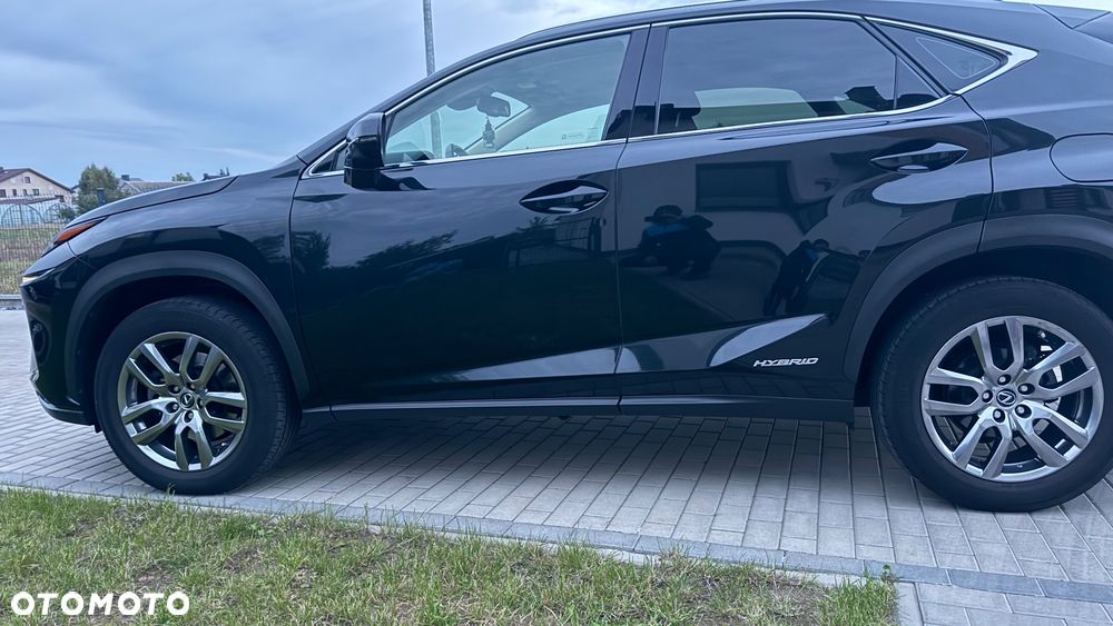 Lexus NX 300h Business Edition AWD - 7