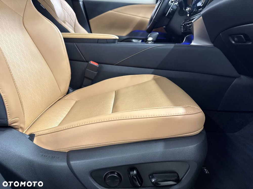 Lexus RX 450h+ Prestige - 19