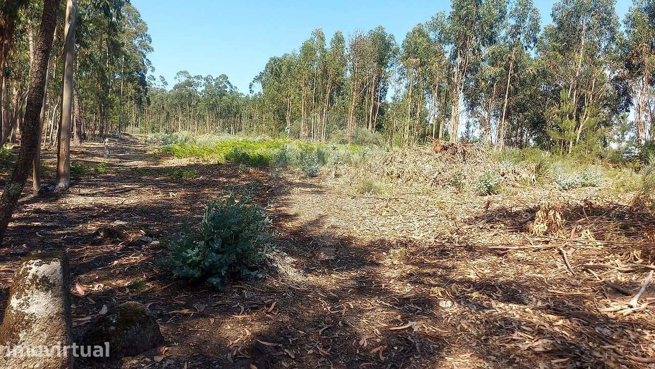 Terreno  para venda - Grande imagem: 4/9