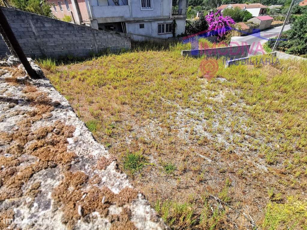 Terreno murado em Adega, Pedrogão Grande - Grande imagem: 4/10