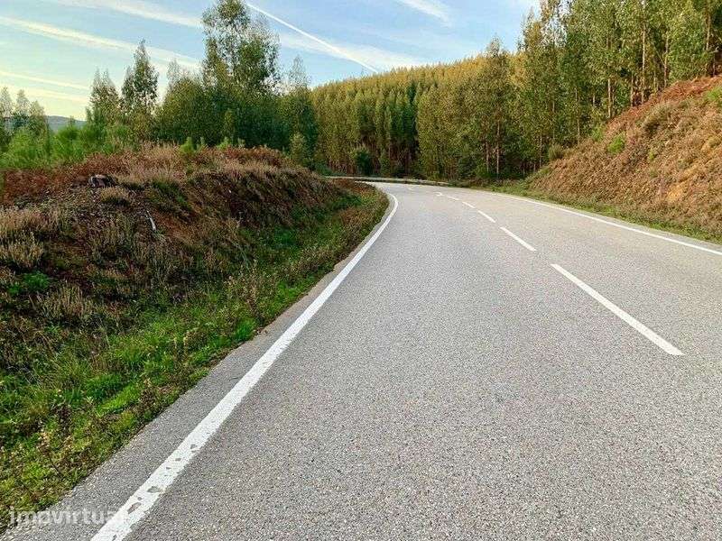 2 terrenos juntos       290m de margem de estrada nacional 344 - Grande imagem: 4/12