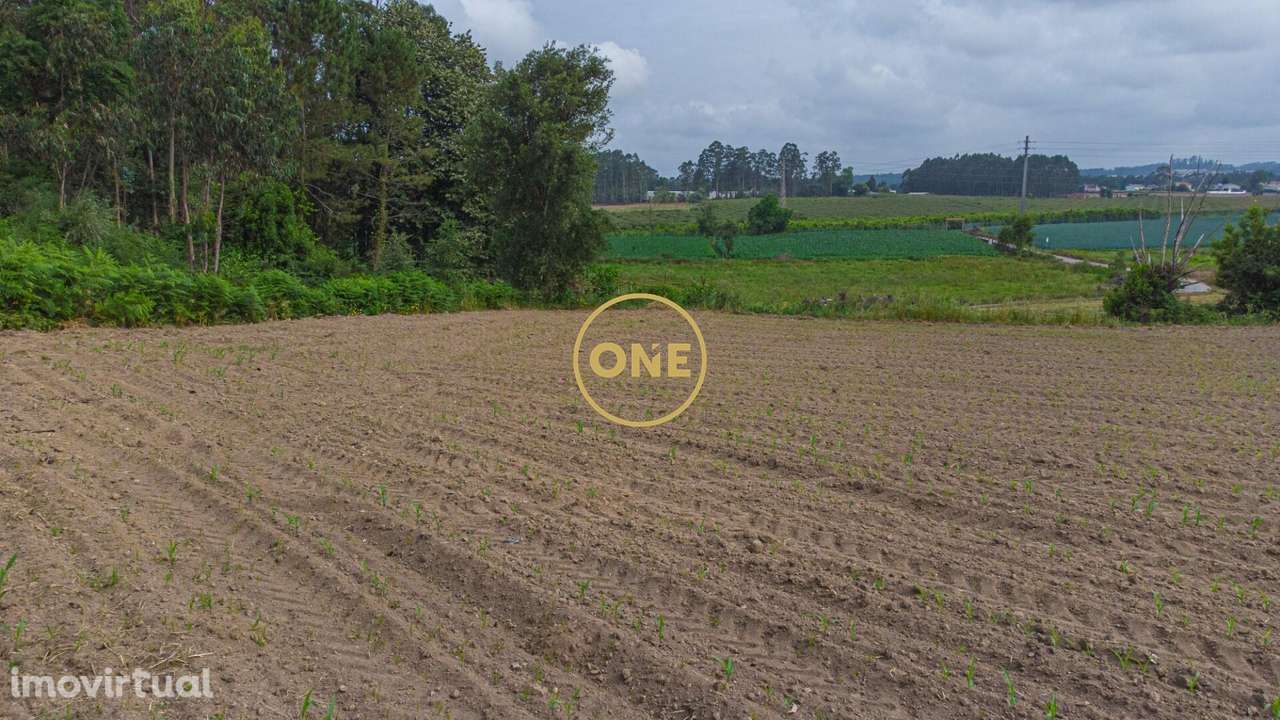 Terreno com Potencial para Construção – Mosteiro, Vila do Conde - Grande imagem: 5/10