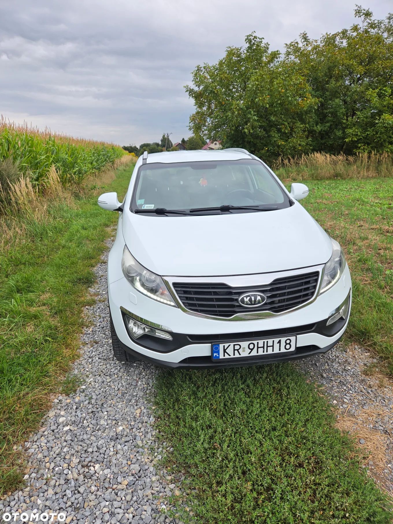 Kia Sportage 2.0 CRDI XL 2WD - 1
