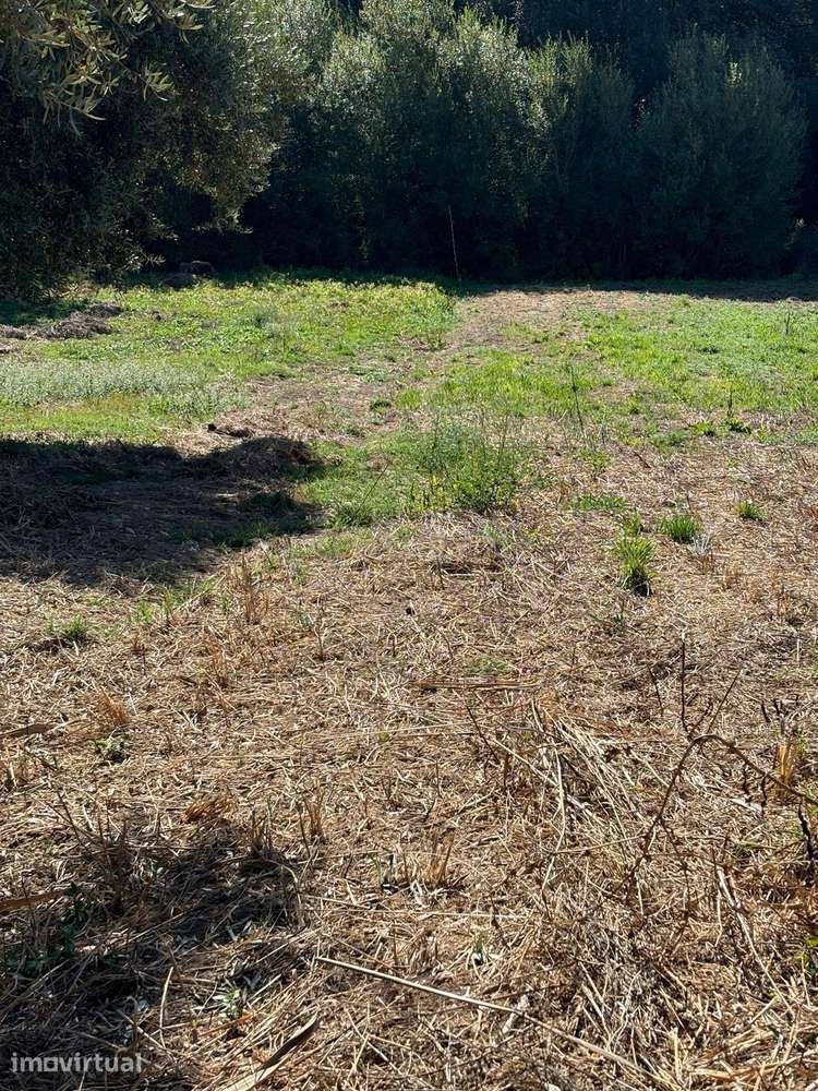 Terrenos com viabilidade construtiva em Pipa - Vila Cã, Pombal - Grande imagem: 4/23