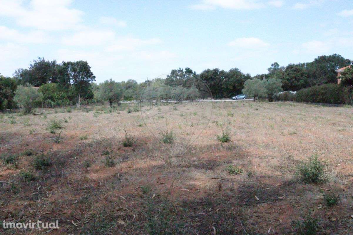 Terreno  para venda - Grande imagem: 3/3