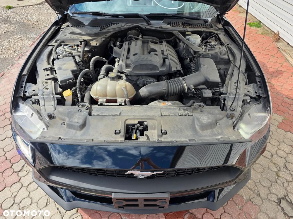 Ford Mustang Cabrio 2.3 Eco Boost - 15